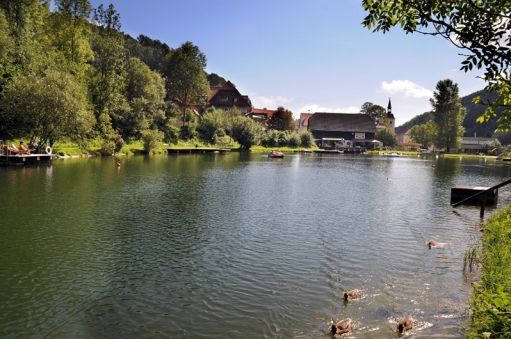 Urlaub in der Steiermark, Urlaub in der Oststeiermark, Uralub im Joglladn, Uralub im Sommer, Urlaub am See, Urlaub mit Hund,